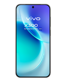 Vivo X300